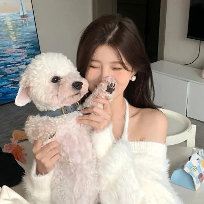 黑帮女婿